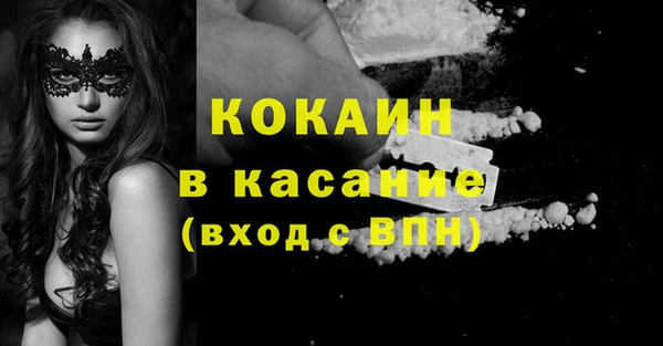 ГАЛЛЮЦИНОГЕННЫЕ ГРИБЫ Богданович