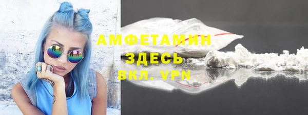 ГАЛЛЮЦИНОГЕННЫЕ ГРИБЫ Богданович
