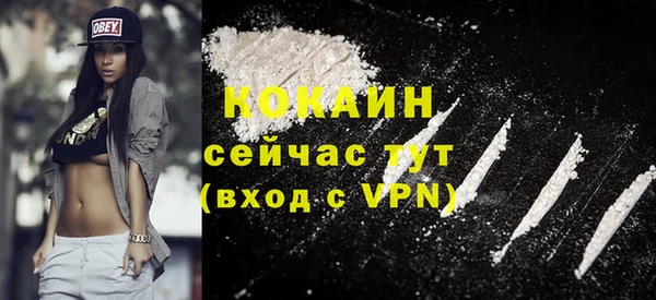 ГАЛЛЮЦИНОГЕННЫЕ ГРИБЫ Богданович