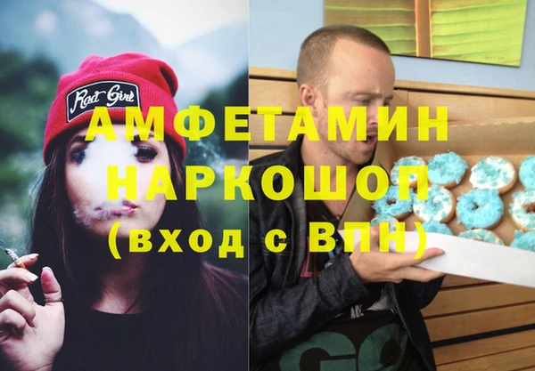 ГАЛЛЮЦИНОГЕННЫЕ ГРИБЫ Богданович